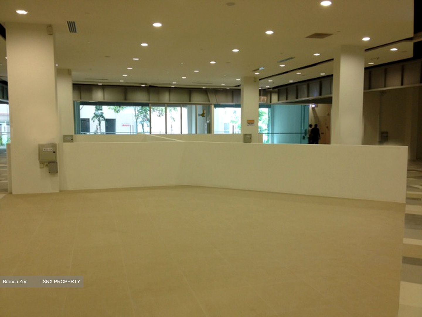 Junction Nine (D27), Shop House #388637721